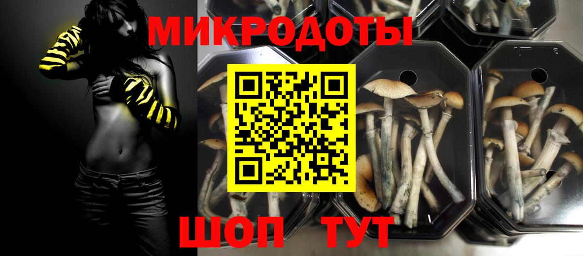 Псилоцибиновые грибы MAGIC MUSHROOMS  Галлюциногенные грибы мицелий  Гагарин  Вход с VPN 